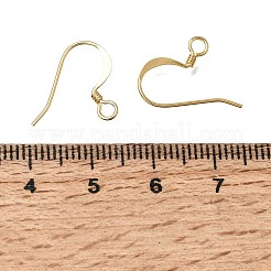 Brass Flat Ear Wire&nbsp;KK-CBA1A60-03G