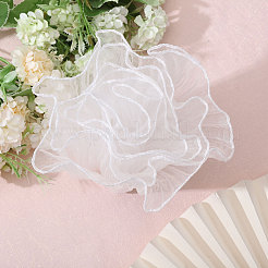 10 Yards Organza Pleated Lace Ribbon&nbsp;OCOR-GL0001-12A