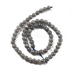 Natural Labradorite Beads Strands&nbsp;LS-G-S333-6mm-035-01