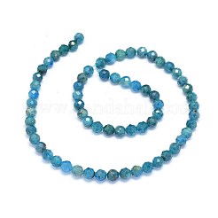 Natural Apatite Beads Strands&nbsp;G-O180-12-6mm