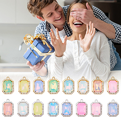 48Pcs 2 Colors UV Plating Alloy with Mixed Color Glass Rhinestone Pendants&nbsp;FIND-SC0023-45