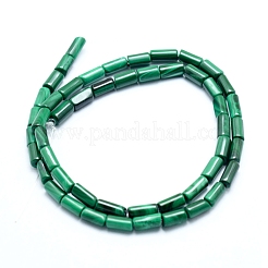 Natural Malachite Beads Strands&nbsp;G-D0011-04A