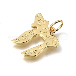 Brass Pendants&nbsp;KK-C262-23G