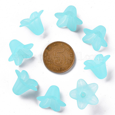 Transparent Acrylic Beads&nbsp;PLF018-13-1