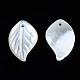 Natural White Shell Pendants&nbsp;SSHEL-S258-100C-3
