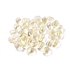 Transparent Glass Charms&nbsp;GLAA-L027-L02-1