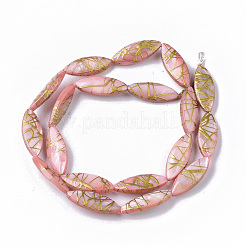 Drawbench Freshwater Shell Beads Strands&nbsp;SHEL-T014-008B-04