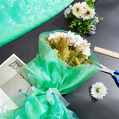 Two Tone Polyester Organza Fabric&nbsp;AJEW-WH0314-302A