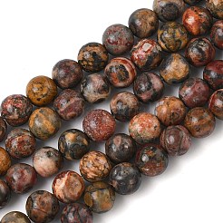 Natural Leopard Skin Jasper Beads Strands&nbsp;G-J358-05-6mm