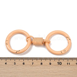 Alloy Spring Gate Clasps&nbsp;LS-PALLOY-Q009-01E