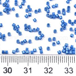 FGB 11/0 Grade A Baking Paint Glass Seed Beads&nbsp;SEED-S030-1042
