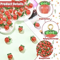 40Pcs Transparent Resin with Transparent Glass Pendants&nbsp;PALLOY-CJ00193