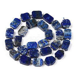 Natural Lapis Lazuli Beads Strands&nbsp;G-T138-14
