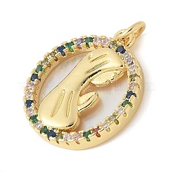 Brass Micro Pave Cubic Zirconia Pendants&nbsp;KK-K298-16G-01