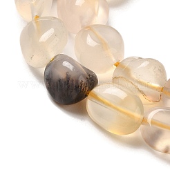 Natural Agate Beads Strands&nbsp;G-G146-A38-01