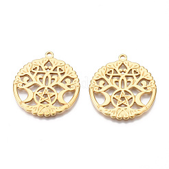 Ion Plating(IP) 201 Stainless Steel Pendants&nbsp;STAS-N098-078LG