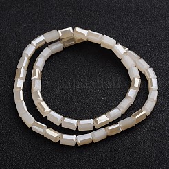 Half Rainbow Plated Faceted Cuboid Electroplate Imitation Jade Glass Beads Strands&nbsp;EGLA-F110-B04