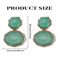 1 Pair Resin Dangle Stud Earrings&nbsp;EJEW-LP0004-82A