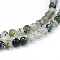 Natural Moss Agate Round Bead Strands&nbsp;G-J303-07-6mm