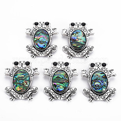 Natural Paua Shell Frog Brooch&nbsp;PALLOY-Q438-006D-RS