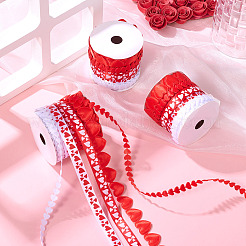 3 Rolls 5 Styles Valentine's Day Polyester Lace Ribbons&nbsp;OCOR-TA0002-19