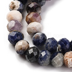 Natural Sodalite Beads Strands&nbsp;G-K380-A09-01