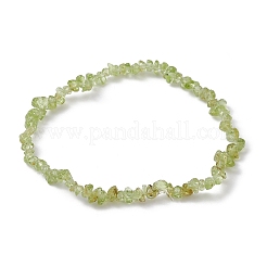 Natural Olive Jade Chips Beaded Stretch Bracelets for Women&nbsp;BJEW-JB10046-02
