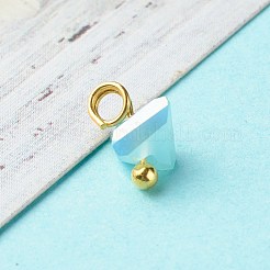 Electroplate Glass Charms&nbsp;PALLOY-JF00821-03