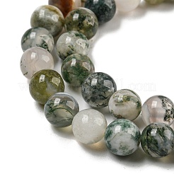 Natural Tree Agate Round Gemstone Beads Strands&nbsp;G-R255-6mm