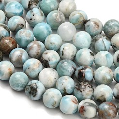 Natural Larimar Beads Strands&nbsp;G-L642-B19-8mm