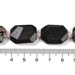 Natural Snowflake Obsidian Beads Strands&nbsp;G-B125-P21-01
