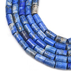 Natural Lapis Lazuli Beads Strands&nbsp;G-F832-B11-01