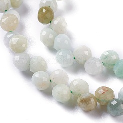 Natural Myanmar Jade/Burmese Jade  Beads Strands&nbsp;G-H243-17