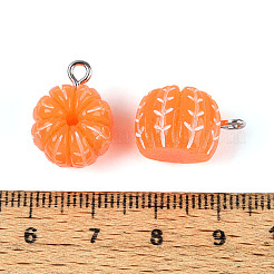 Opaque Resin Pendants&nbsp;RESI-T059-10
