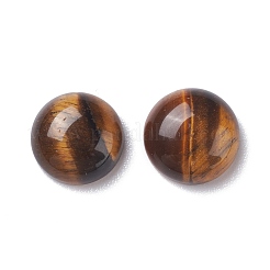Gemstone Cabochon&nbsp;GP519-10MM