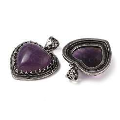 Natural Amethyst Pendants&nbsp;G-A095-01AS-04