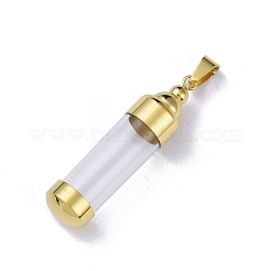 304 Stainless Steel Big Pendants&nbsp;STAS-D097-01E-G