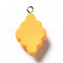 Opaque Resin Pendants&nbsp;LS-RESI-G056-02E