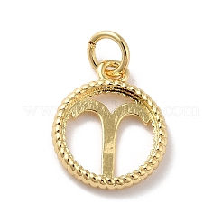 Brass Charms&nbsp;KK-A160-20G-01