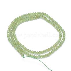Natural Apatite Beads Strands&nbsp;G-E411-27A-3mm
