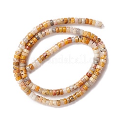 Natural Crazy Lace Agate Beads Strands&nbsp;G-A201-A05