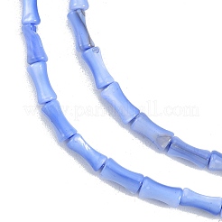 Natural Freshwater Shell Beads Strands&nbsp;SHEL-G013-01I