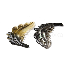 Natural Black Lip Shell Cabochons&nbsp;SSHEL-H068-01