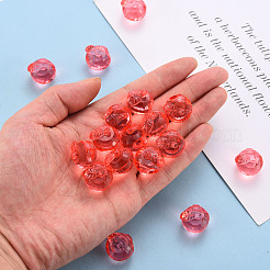 Transparent Acrylic Pendants&nbsp;TACR-T024-05B-910