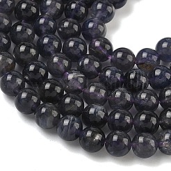 Natural Iolite Beads Strands&nbsp;G-E576-05C