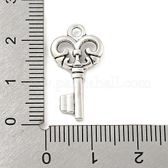 Tibetan Style Alloy Pendants&nbsp;FIND-M011-14AS