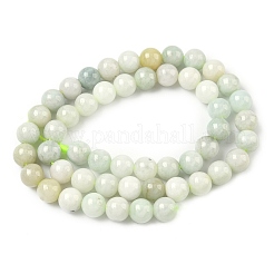 Natural Myanmar Jade/Burmese Jade Beads Strands&nbsp;G-K310-C05-8mm-01