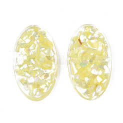 Transparent Acrylic Cabochons&nbsp;TACR-N006-66D