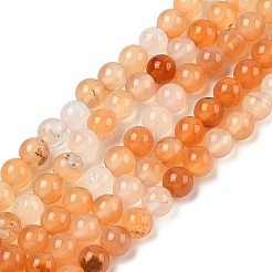 Natural Red Agate Beads Strands&nbsp;G-A248-A06-01