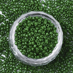 Baking Paint Glass Seed Beads&nbsp;X-SEED-S042-05A-04